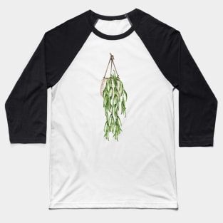 Hoya Linearis Baseball T-Shirt